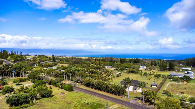 50 Uakoko Pl, Haiku, HI 96708 - aerial view of a tree filled landscape