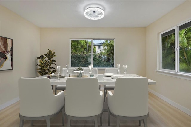 dining space featuring light hardwood / wood-style floors