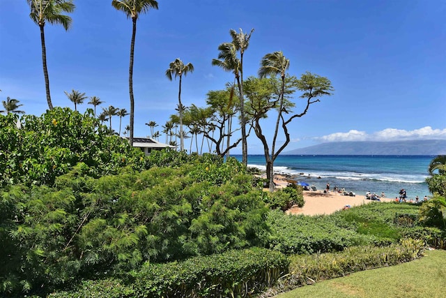 water view with a beach view