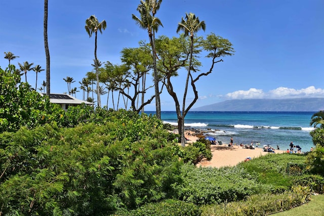 water view with a beach view