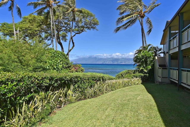 property view of water featuring a mountain view