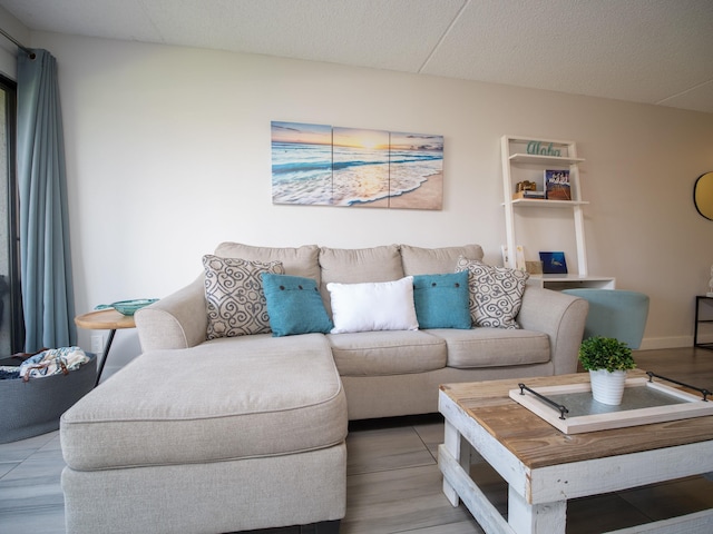 living room with wood-type flooring