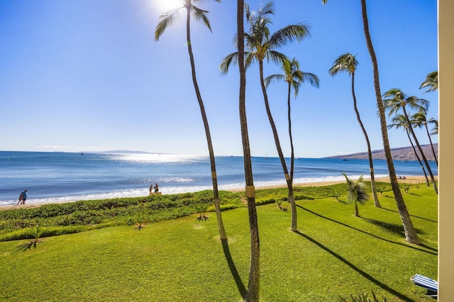 water view featuring a beach view