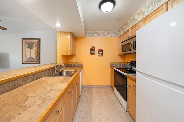 kitchen with sink, white appliances, and light hardwood / wood-style flooring