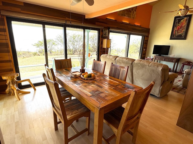 dining space featuring ceiling fan and light hardwood / wood-style floors