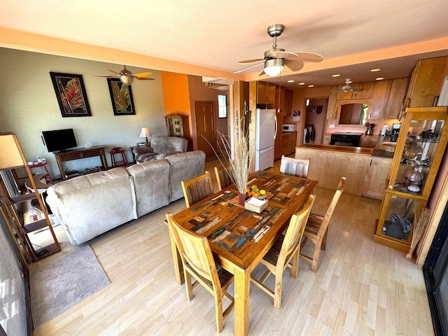 dining area with ceiling fan and light wood-type flooring