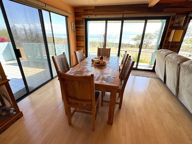 dining room with plenty of natural light and light hardwood / wood-style flooring