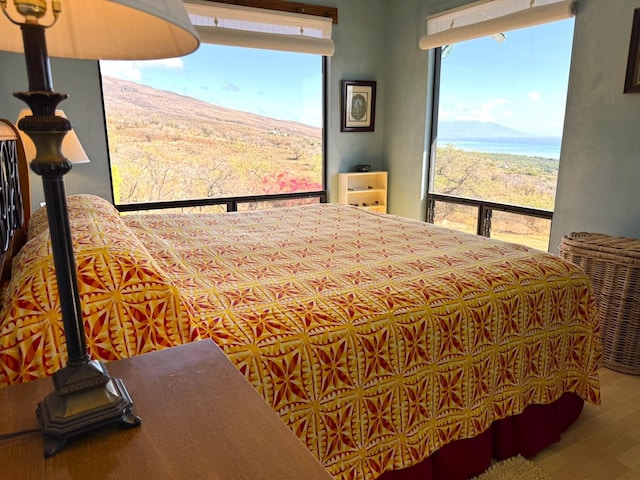 bedroom featuring hardwood / wood-style flooring and multiple windows