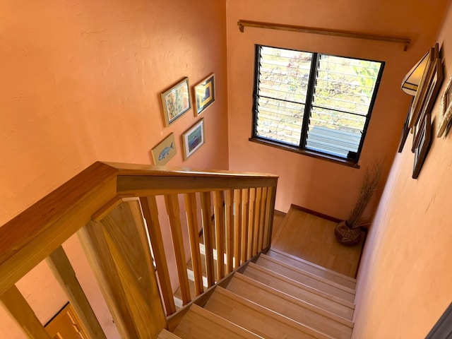 stairway with hardwood / wood-style floors