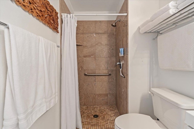 bathroom with walk in shower and toilet