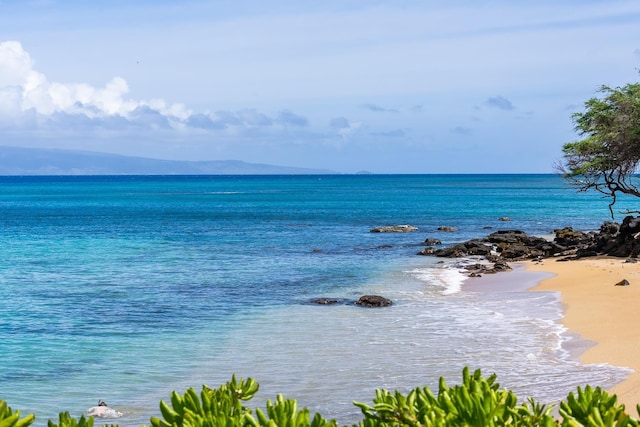 view of water feature featuring a view of the beach