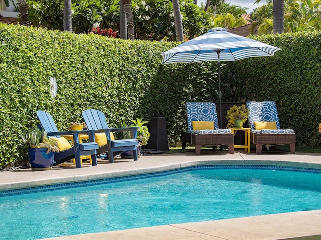 view of pool with a patio