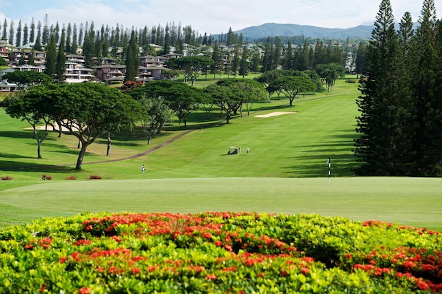 500 Bay Dr Unit 12G4, Lahaina, HI 96761 - view of property's community with a mountain view, golf course view, and a yard