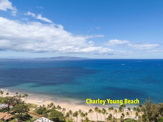 68 Walaka St Unit 5, Kihei, HI 96753 - water view with local beach
