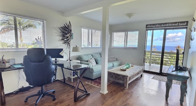 home office featuring hardwood / wood-style flooring