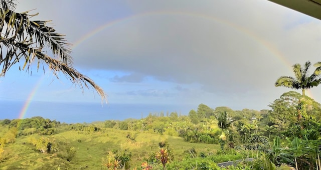 view of nature