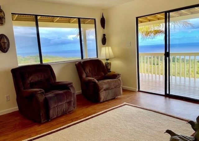 sitting room featuring wood-type flooring and a water view