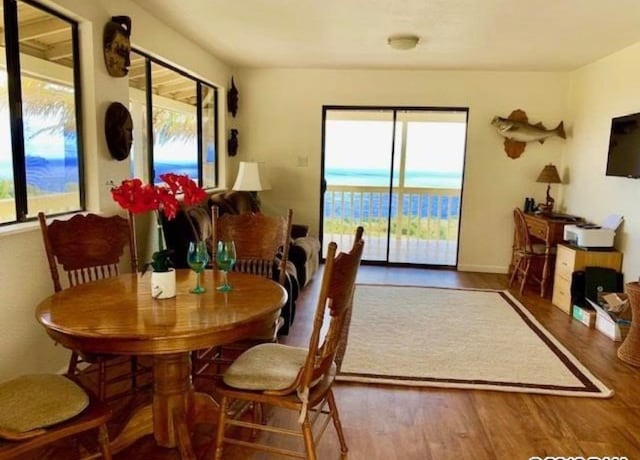 dining room with hardwood / wood-style flooring