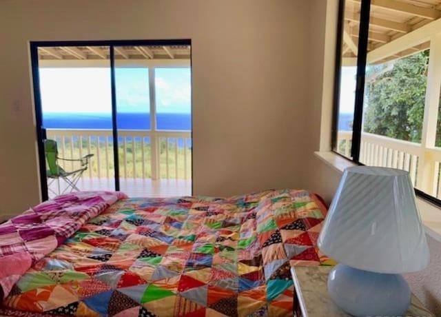 bedroom featuring a water view