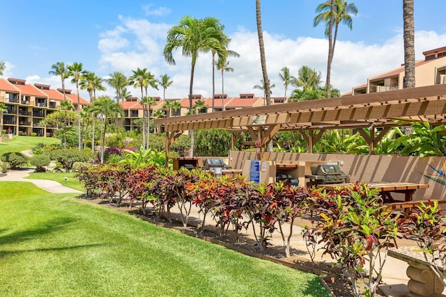 view of yard featuring a pergola