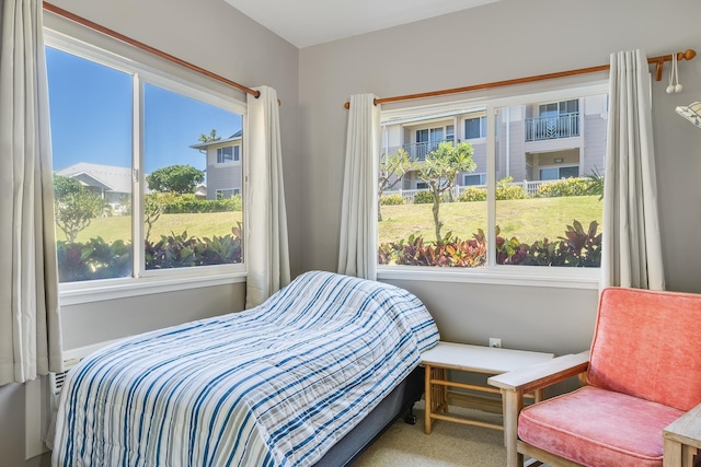 view of carpeted bedroom