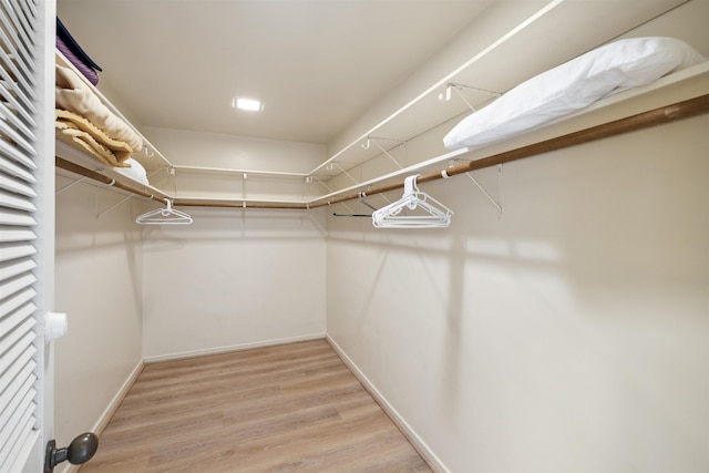 spacious closet featuring light hardwood / wood-style flooring