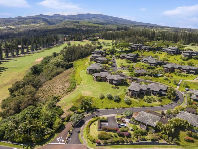 aerial view with a mountain view