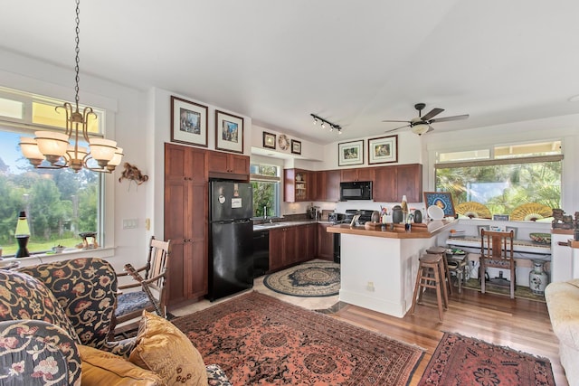 interior space featuring ceiling fan with notable chandelier, light wood-type flooring, rail lighting, and sink