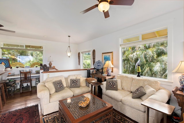 living room featuring ceiling fan and hardwood / wood-style flooring