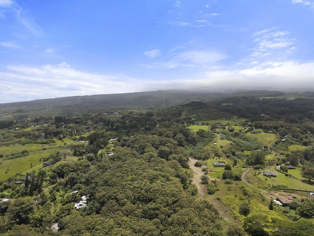 bird's eye view with a view of trees