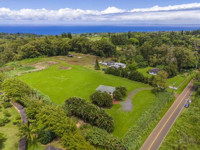 drone / aerial view with a water view and a view of trees