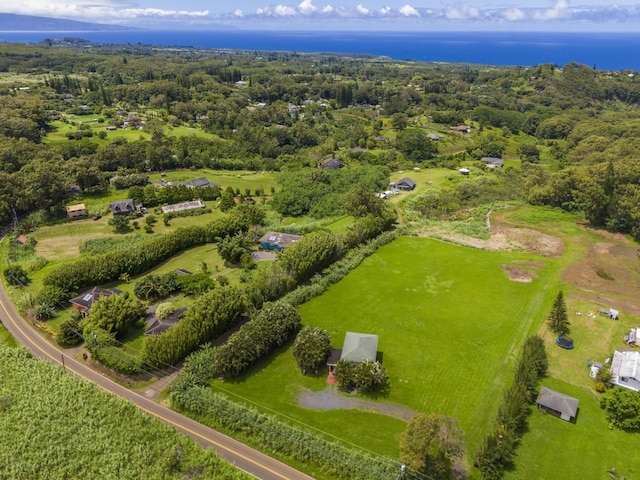 bird's eye view featuring a water view and a wooded view
