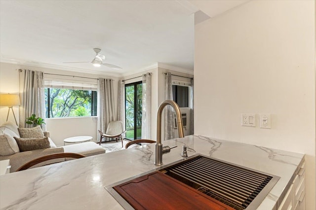 interior space featuring crown molding and ceiling fan