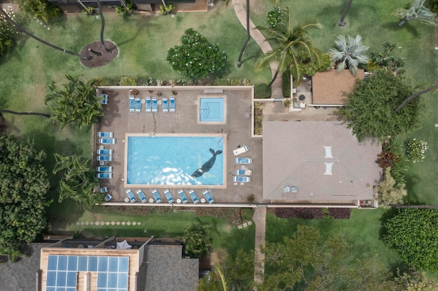 drone / aerial view
