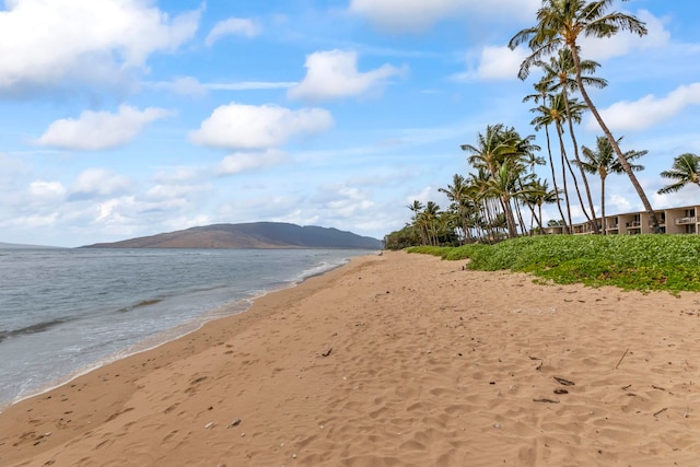 water view featuring a beach view