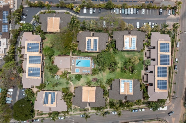 bird's eye view