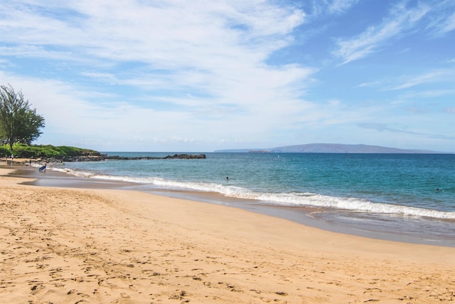 water view featuring a beach view