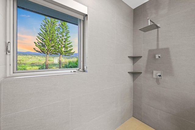 92 Kahana Ridge Dr, Lahaina, HI 96761 - bathroom with a tile shower and healthy amount of natural light