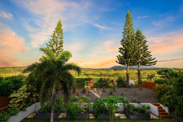 92 Kahana Ridge Dr, Lahaina, HI 96761 - view of yard featuring a vegetable garden and fence