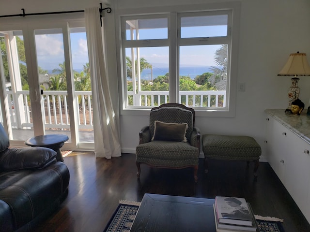 215 Aahi Pl, Kaunakakai, HI 96748 - living area featuring dark wood finished floors
