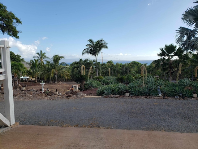 215 Aahi Pl, Kaunakakai, HI 96748 - view of yard