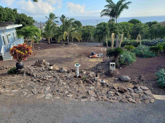 215 Aahi Pl, Kaunakakai, HI 96748 - view of yard