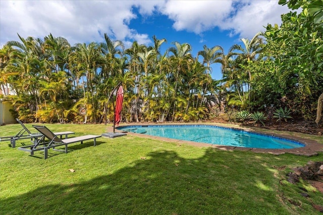 view of swimming pool featuring a lawn