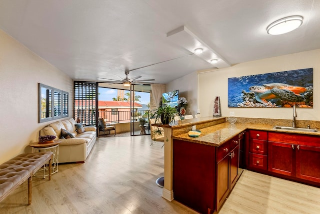 interior space with expansive windows, a ceiling fan, light wood finished floors, and a sink