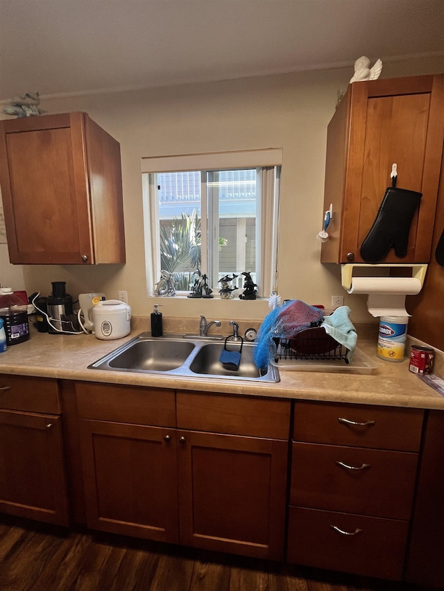 kitchen with sink and dark hardwood / wood-style floors