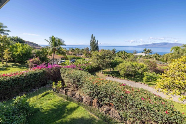 view of yard featuring a water and mountain view