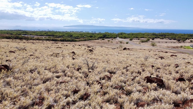 Pohaku Aeko Street Lot 31/ Unit A, Lahaina HI 96761 LAND for sale