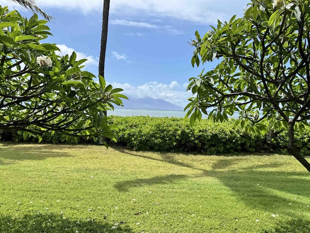view of grassy yard featuring a water view
