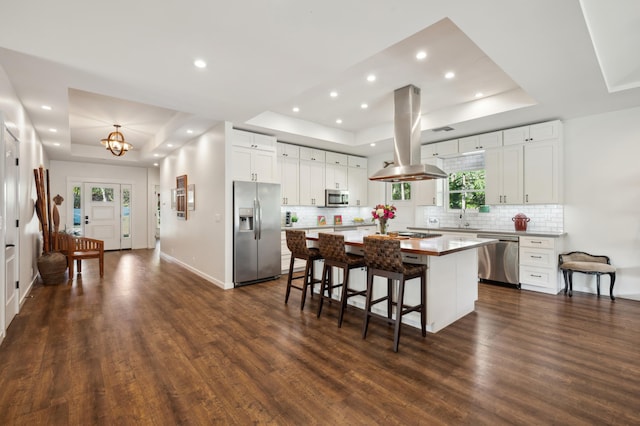 kitchen featuring dark wood-style floors, a tray ceiling, a center island, stainless steel appliances, and island range hood