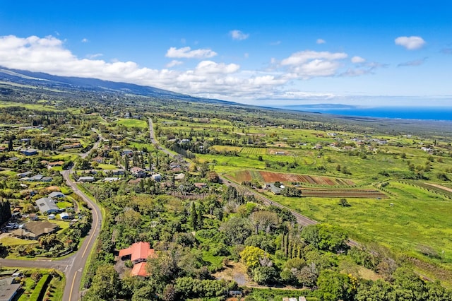 drone / aerial view with a mountain view